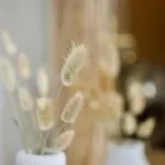 Le 38 F2 De Charme Rénové Proche Vieux-marché Appartement