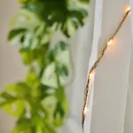 Le 38 F2 De Charme Rénové Proche Vieux-marché Appartement Rouen