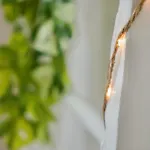 Appartement Le 38 F2 De Charme Rénové Proche Vieux-marché Rouen