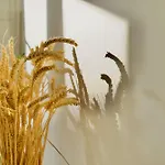 Appartement Le 38 F2 De Charme Rénové Proche Vieux-marché Rouen