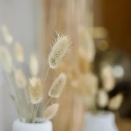 Le 38 F2 De Charme Renove Proche Vieux-marche Appartement