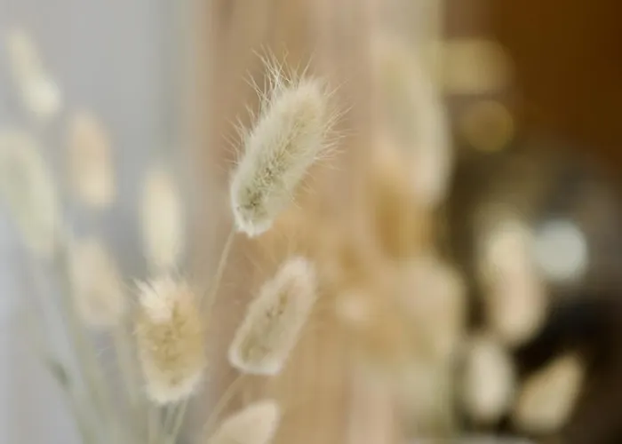 Le 38 F2 De Charme Renove Proche Vieux-marche Apartment