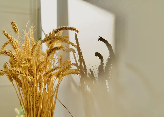 شقة Le 38 F2 De Charme Renove Proche Vieux-marche روان